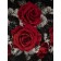 Texrepublic blanket, size 150x200 cm, black color