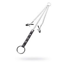 Clamps for nipples with a penis ring, Toyfa Metal, silver-black