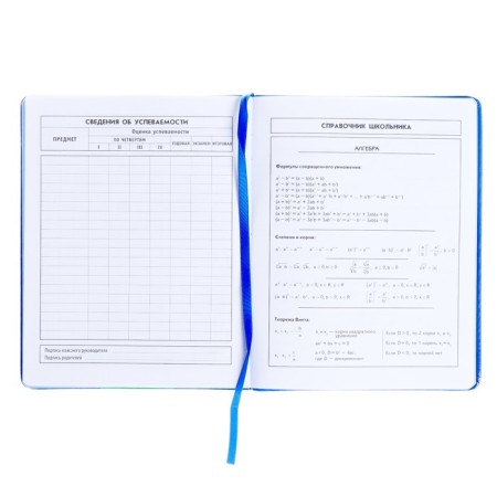 Diary, universal, for grades 1-11, “orange monstrik”, artificial leather, foam lining, 48 sheets-6