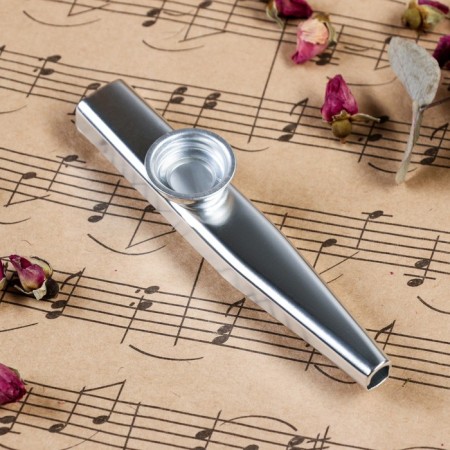 Music Life Casket, Silver-2