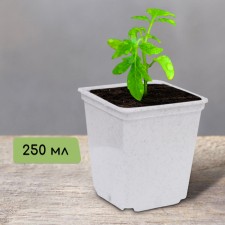 Pot for seedlings, 250 ml, d = 7 cm, h = 8 cm, white