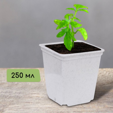 Pot for seedlings, 250 ml, d = 7 cm, h = 8 cm, white