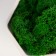 Kashpo concrete "Fantasy" with moss height 9 cm white (moss green stabilized)