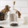 A set of herbs and spices for the preparation of tincture "Cognac" with a bottle