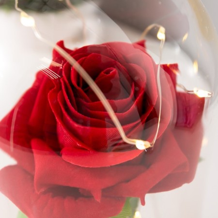 Spinker "Sobe with a scarlet rose" LED from batteries 3AAA 19.5x9.5x9.5 cm Risalux-3