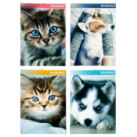 Notepad A6, 40 sheets in a cage on a clip "kittens and puppies", covered paper cover, mix