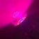 LED phytolamps, for plants, A60, 11 W, 220 °