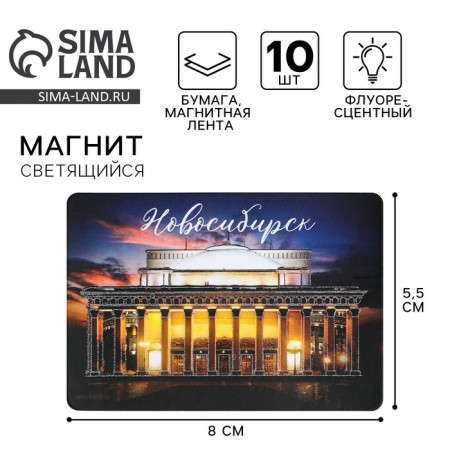 Fluorescence magnet "Novosibirsk", 8 x 5.5 cm