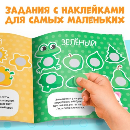 Stickers set of "smart circles" 4 pcs. 12 p.-5