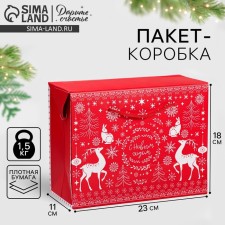 Package - “Feast Magic”, 23 x 18 x 11 cm, New Year