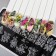 TNL Premium Flower`s Mooded Stamping Plave
