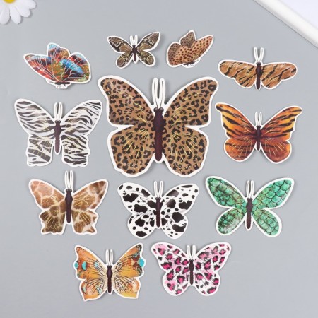 Butterflies cardboard "animal skins" set 12 pcs h = 4-10 cm on magnet-2