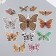 Butterflies cardboard "animal skins" set 12 pcs h = 4-10 cm on magnet
