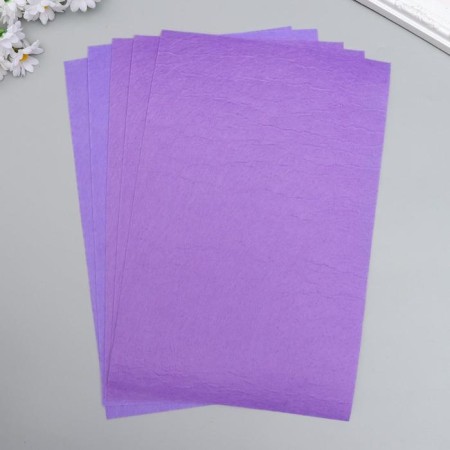Fleet hard 1 mm "Amethyst" set 10 sheets format A4-2