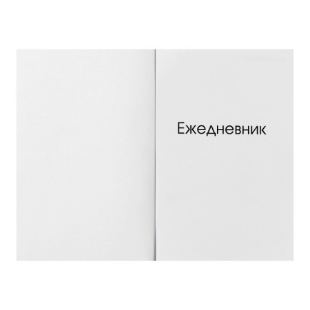 Diary of a low-up A5, 128 sheets, "Serious Diary", Cardboard 7BC cover, Soft-Touch lamination, Block 70 g/m2-2
