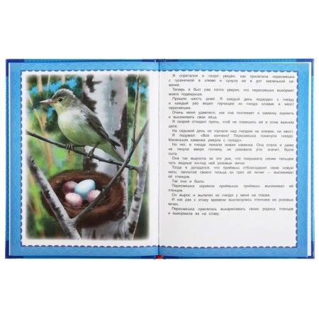 Forest fairy tales. Bianchi V.-2