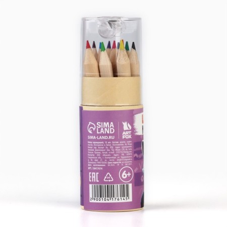 Color pencils mini in a tube, 12 pcs "Raccoon"-3