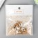 Decor for creativity plastic "Pearl in a sink with a loop" set of 5 pcs 1.2x1.6 cm
