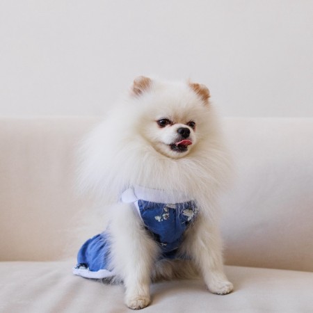 Dress for dogs Culinary, XS (DS 24, Osh 32-36, OG 34-38), Blue-6