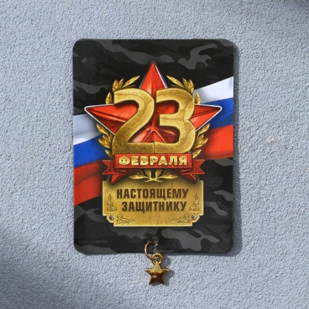 Magnet with the suspension "Real Defender", 6 x 8 cm-1