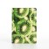 Cover for passport, green color