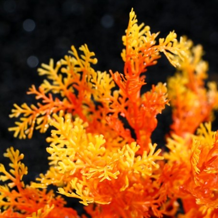 The artificial aquarium plant, 15 cm, orange-2