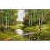 Diamond mosaic "Birch bridge", 37 colors