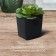 Pot for seedlings, 700 ml, d = 9 cm, h = 11 cm, black, Greengo
