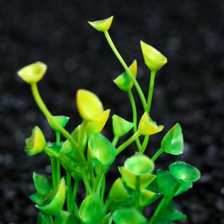 Artificial aquarium plant, 5 cm, green-1