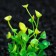 Artificial aquarium plant, 5 cm, green
