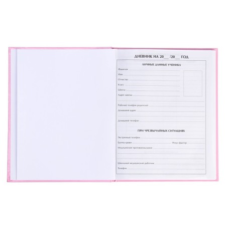 Diary for grades 5-11, "cat", solid cover 7BC, glossy lamination, 48 sheets-3