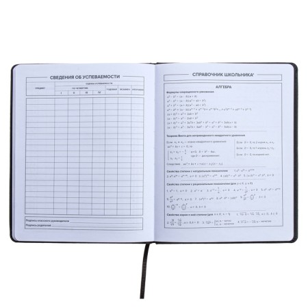 Universal Grade 1-11 Diary, 48 sheets "Traces", hard cover of artificial leather, embossing foil, liesse, OFSET block-9