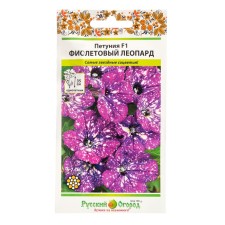 Flowers of Petunia 