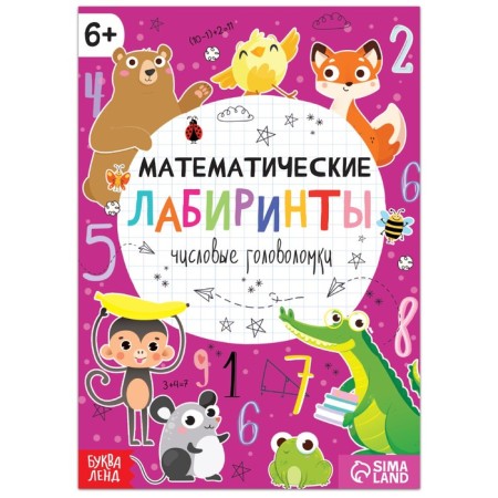 The book "Mathematical Labyrinths", 20 pages, from 6 years old