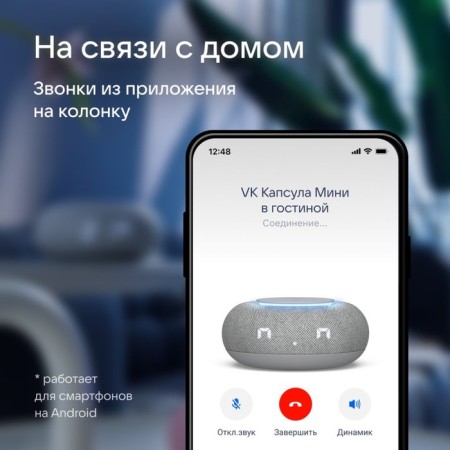 Smart column VK capsule mini (MRC02gy), voice assistant Maroussia, 5W, Wi-Fi, BT 4.2, gray-4
