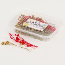 Set of dried flowers 