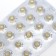 Badger fat, 60 capsules