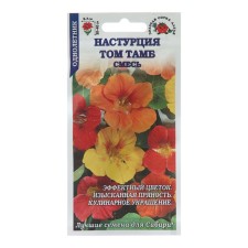 Seeds of flowers nasturtium 