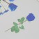 Plastic stickers "Flowers and quotes. Blue" set 12 pcs 8.5x21.5x0.2 cm