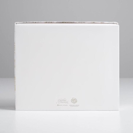 Gift box "Snowflakes", 23.5 x 20.5 x 5.5 cm, New Year-3