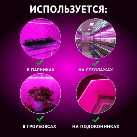 Ecotec Phythelent LED in a coil, with a self -adhesive layer for a greenhouse "Margarita", 12 W, red-2