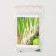 Semen onions "Parade", Bejo, 10 pcs.