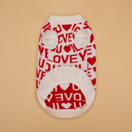 Sweater "Iloveyou", L (DS 29, Osh 29, OG 29-49 cm)-8