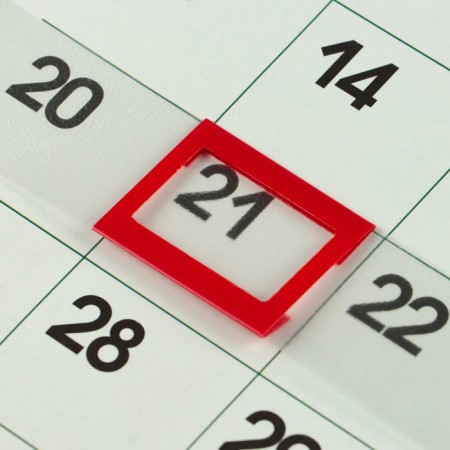 Calendar of the Overdo on the clip "Summer in nature" with a cursor, 2025, 29 x 29 cm-3