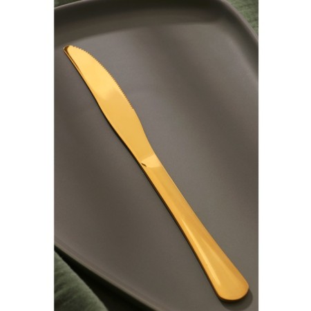 Knives dining rooms "Gold", length 23.5 cm, 6 pcs, gold color-2