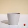 Flower pot, d = 12.5 cm, 1 l, plastic, beige