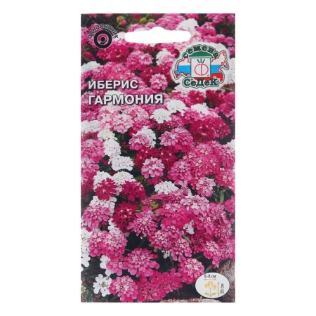 Flower seeds Iberis "Harmony", Euro, 0.1 g