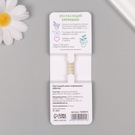 Growing gift pencils Mini "Mint"-1
