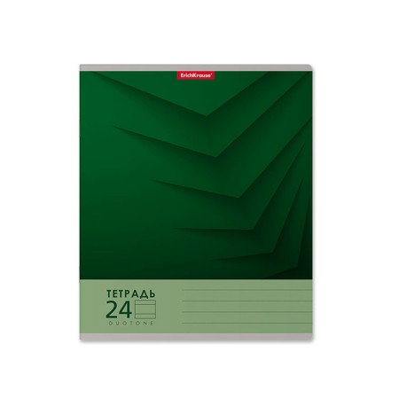 Notebook 24 sheets in the Erichkrause "Duotone Next", cover coated cardboard, an offset block 100% whiteness, mix-4