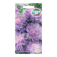 Flowers of Astra 